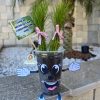 Plantinha interativa no copo - Imagem 3