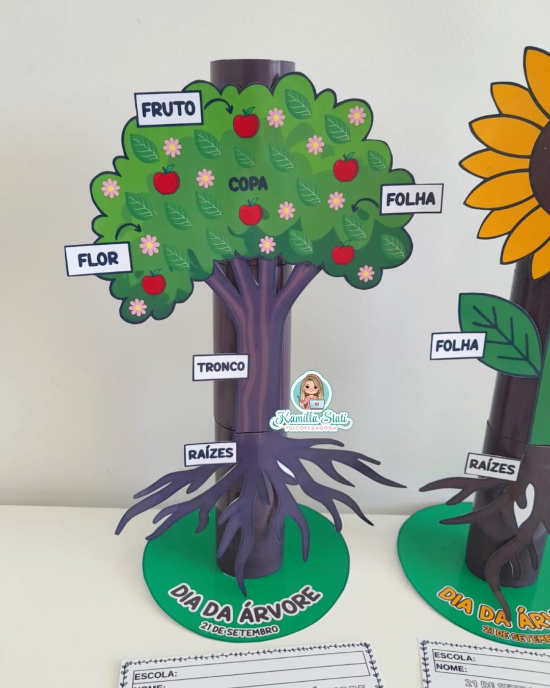 Partes da planta no rolinho - Imagem 3