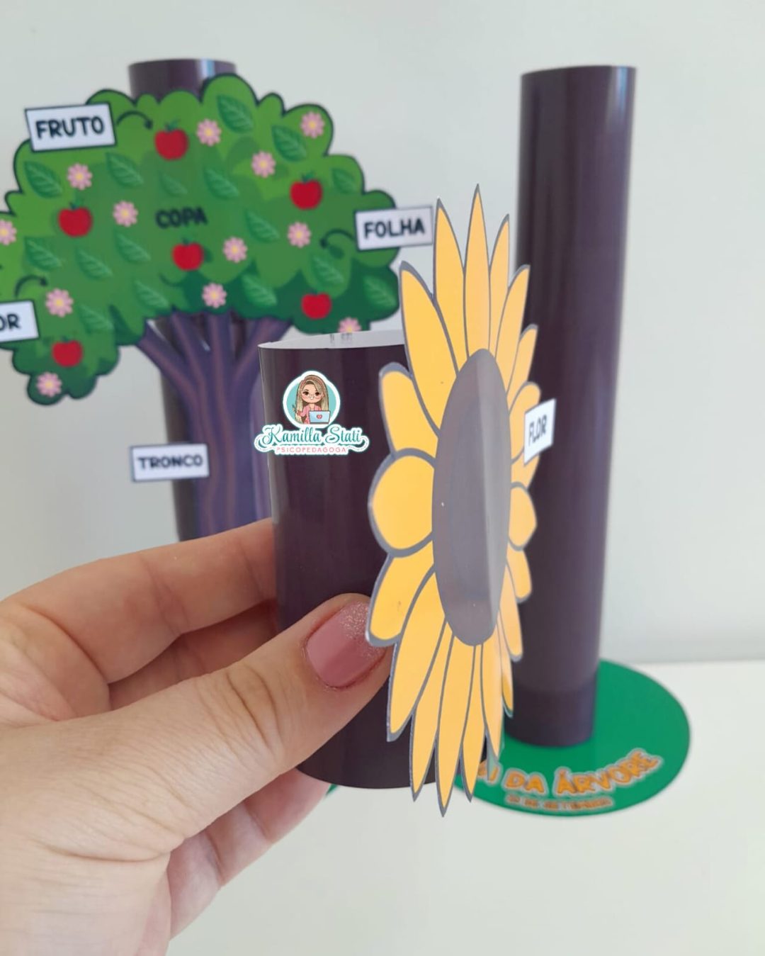 Partes da planta no rolinho - Imagem 9