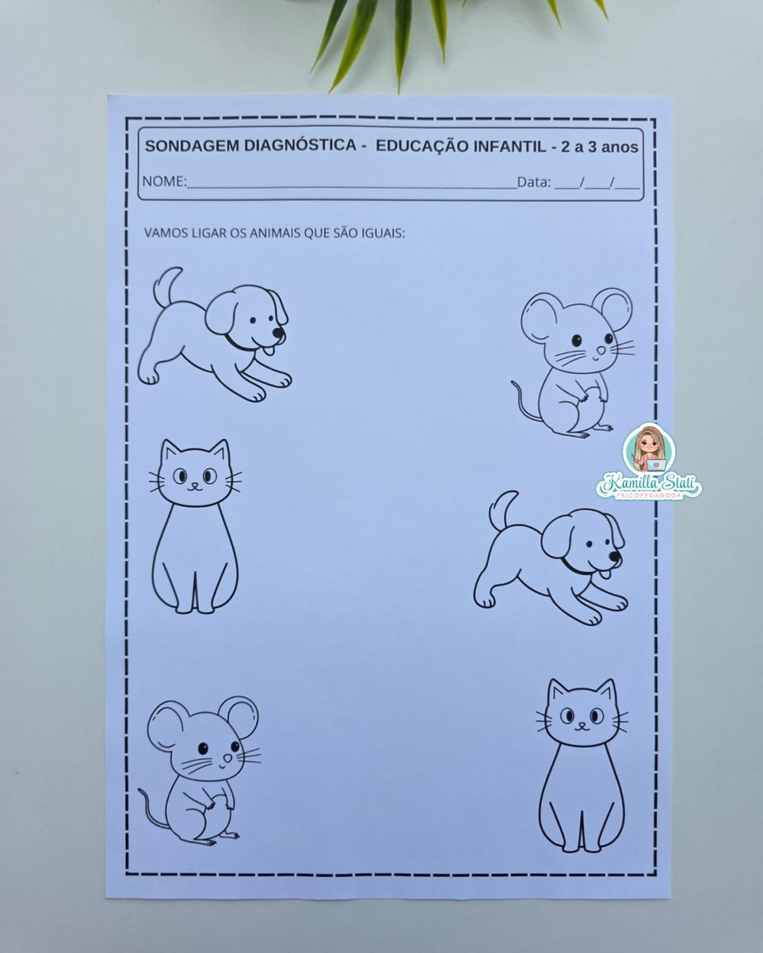 Sondagem Diagnóstica – 2 a 3 anos | Educação Infantil - Materiais Para ...