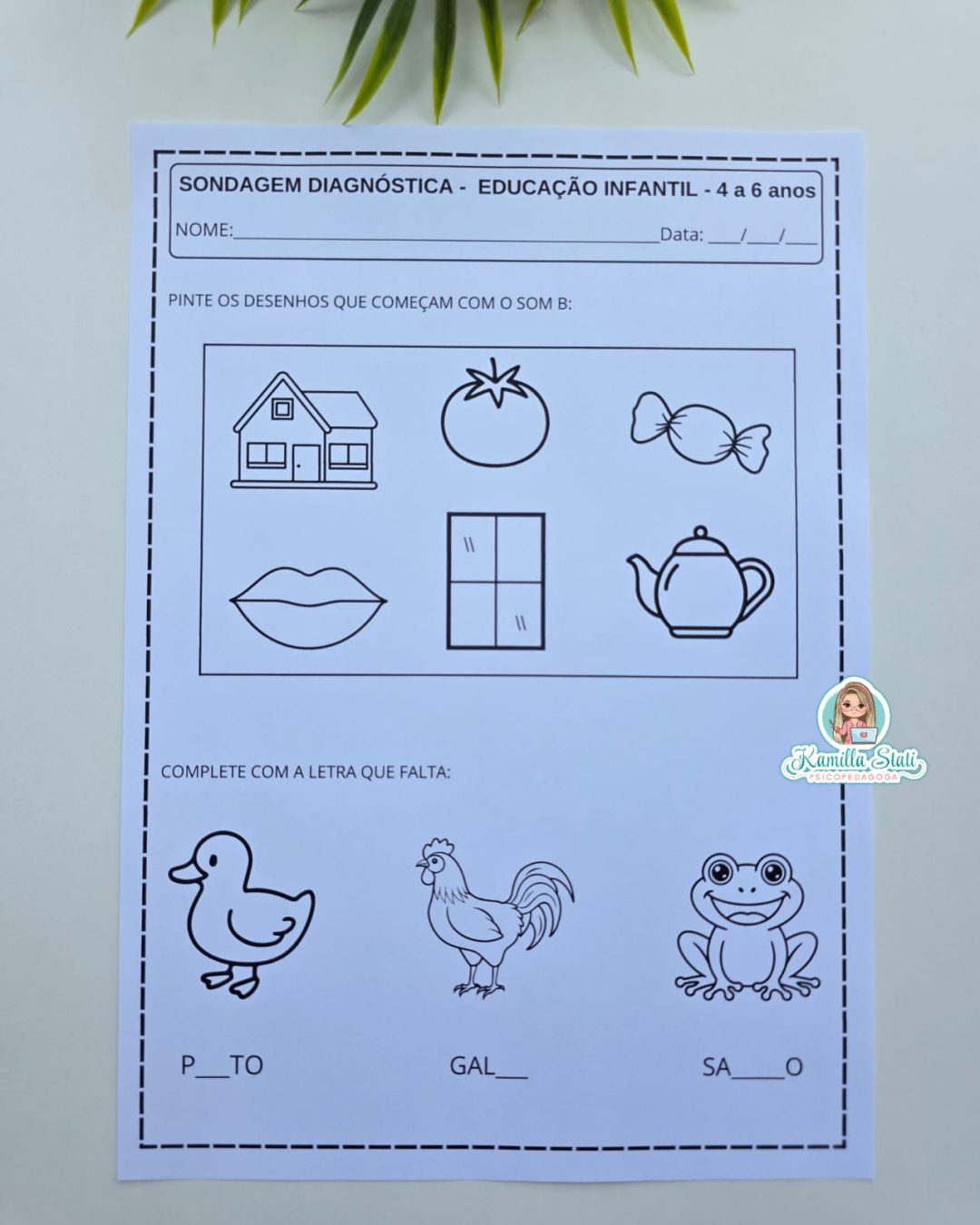 Sondagem Diagnóstica – 4 a 6 anos | Educação Infantil - Materiais Para ...