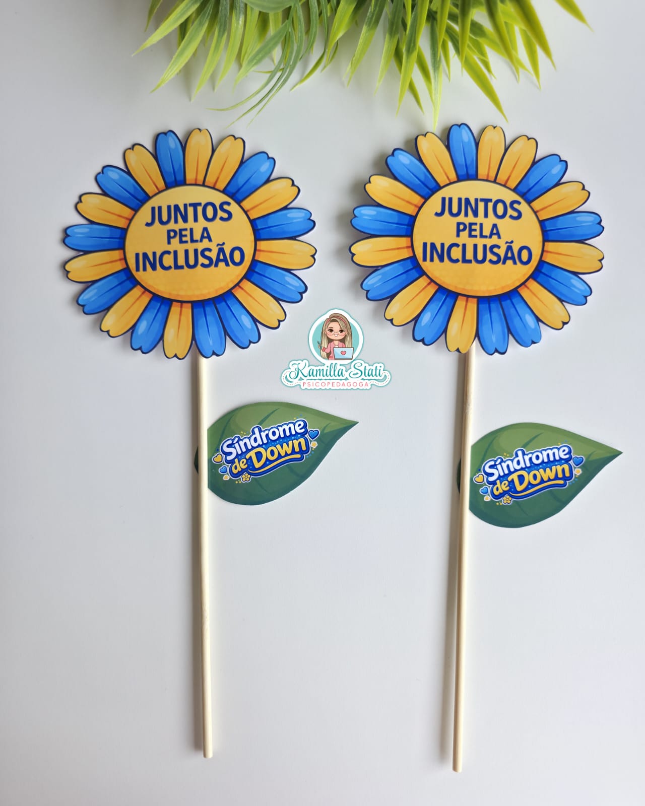 Palitoche Síndrome de Down